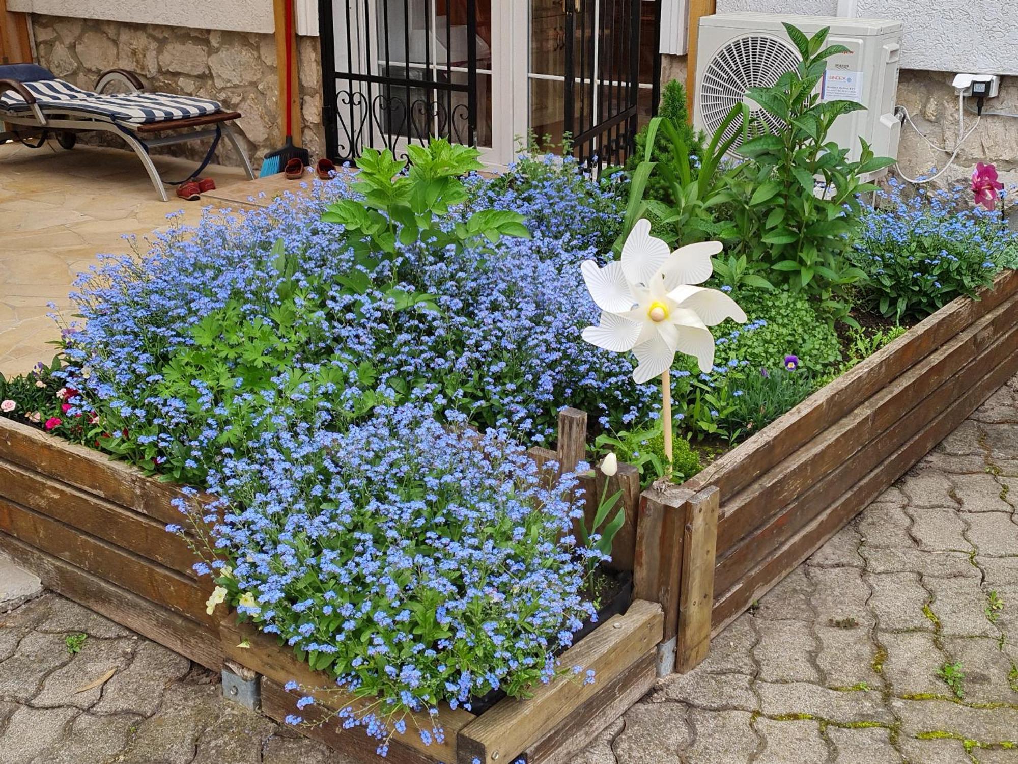 Ginger House Apartment 케츨리 외부 사진